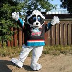 custom sports mascots