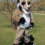 custom school mascot