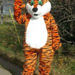 university mascots