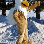 custom made school mascots
