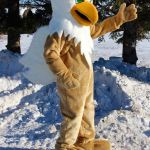 custom made school mascots