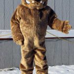 school mascot designs