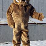 school mascot designs